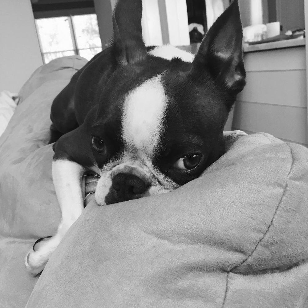 Meet your Posher, Kristyn